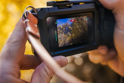 Съёмка осеннего дерева на GoPro MISSION 1. Официальная фотография GoPro из пресс-релиза.