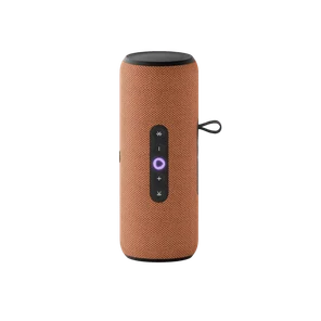 Яндекс Станция Стрит (Оранжевый)