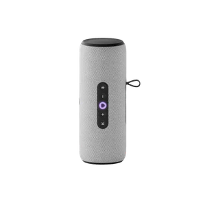 Яндекс Станция Стрит (Серый)