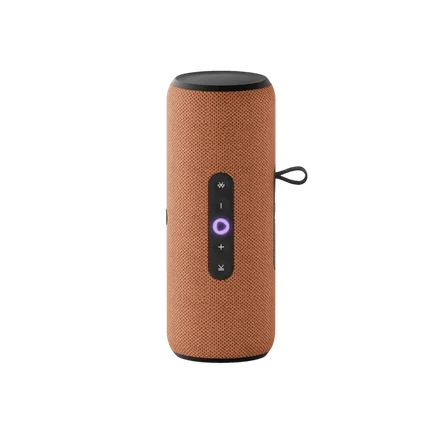 Умная портативная колонка Яндекс.Станция Стрит с Алисой (Оранжевая)