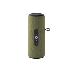 Яндекс Станция Стрит (Зелёный)